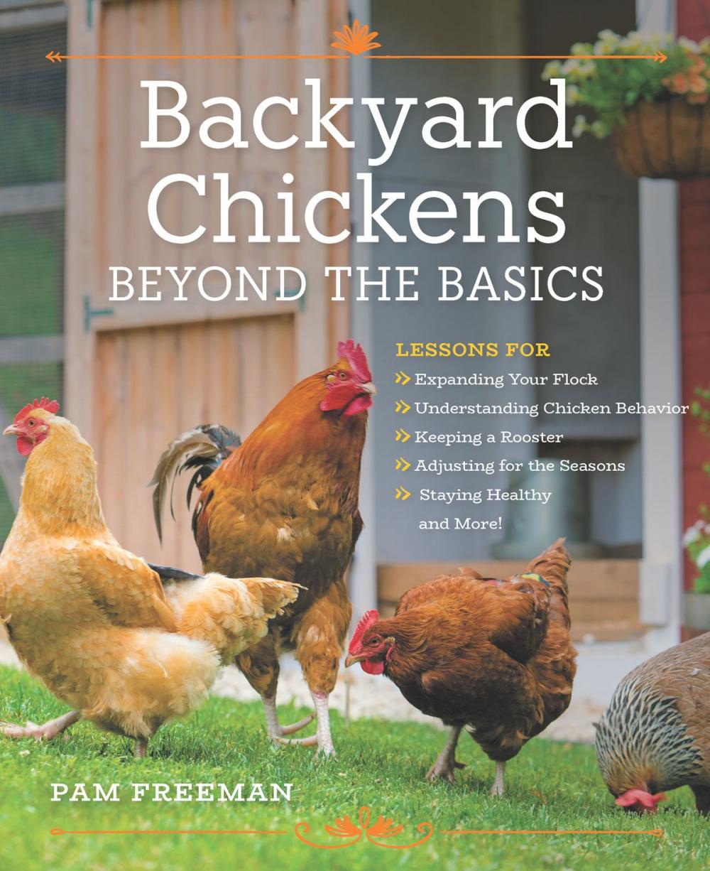 Big bigCover of Backyard Chickens Beyond the Basics