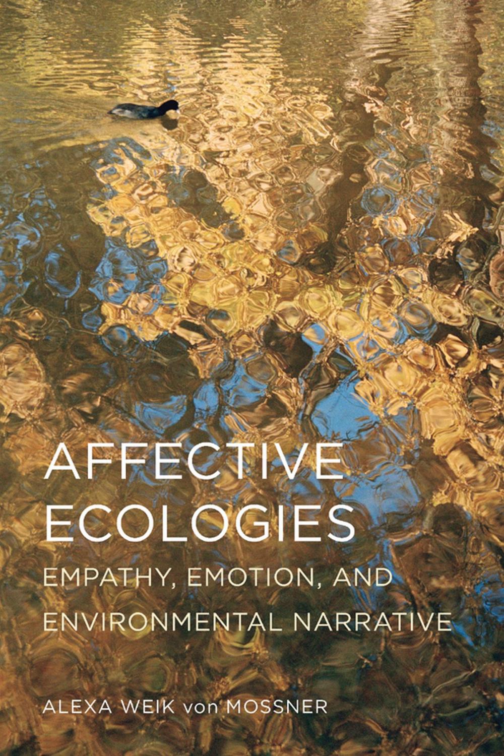 Big bigCover of Affective Ecologies