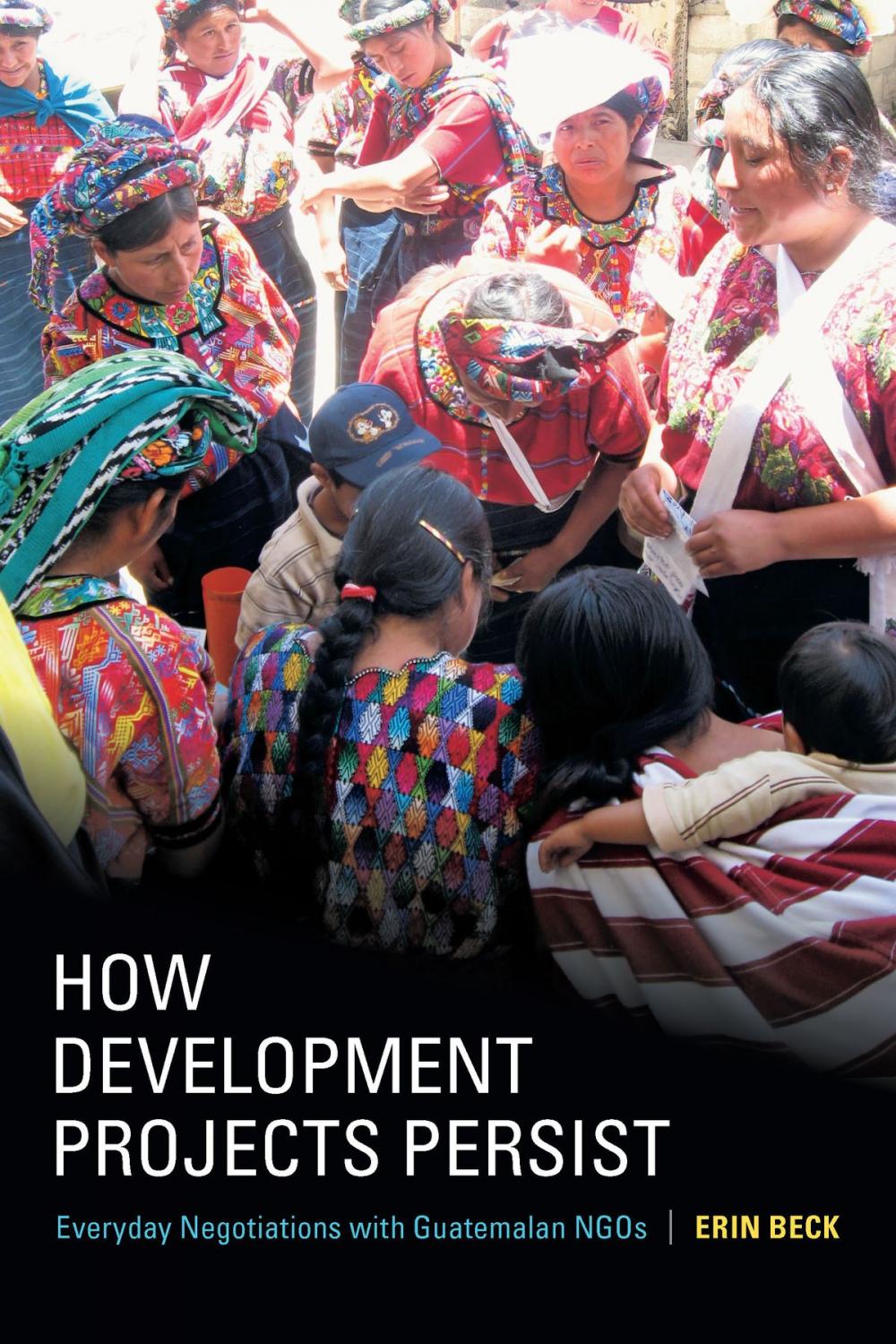 Big bigCover of How Development Projects Persist