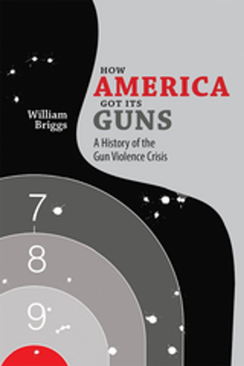 Big bigCover of How America Got Its Guns