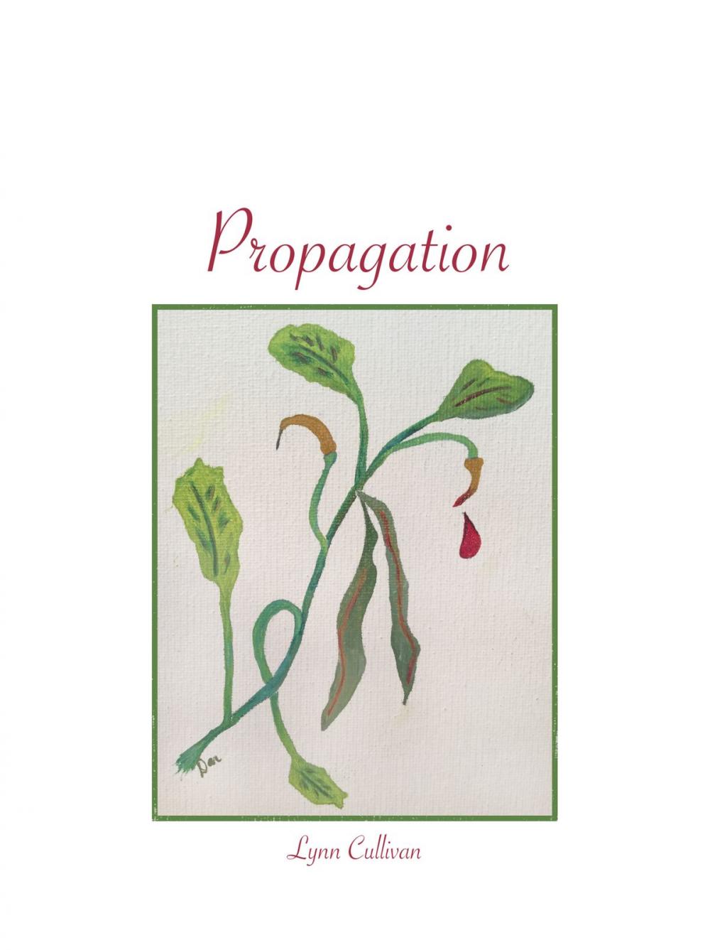 Big bigCover of Propagation