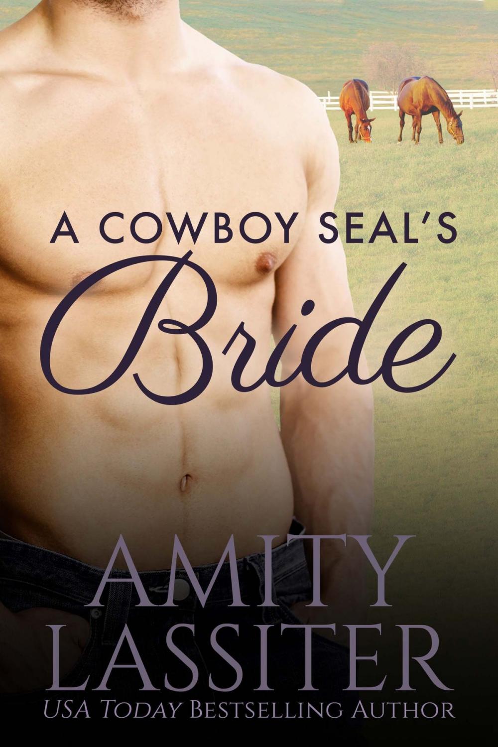 Big bigCover of A Cowboy SEAL's Bride