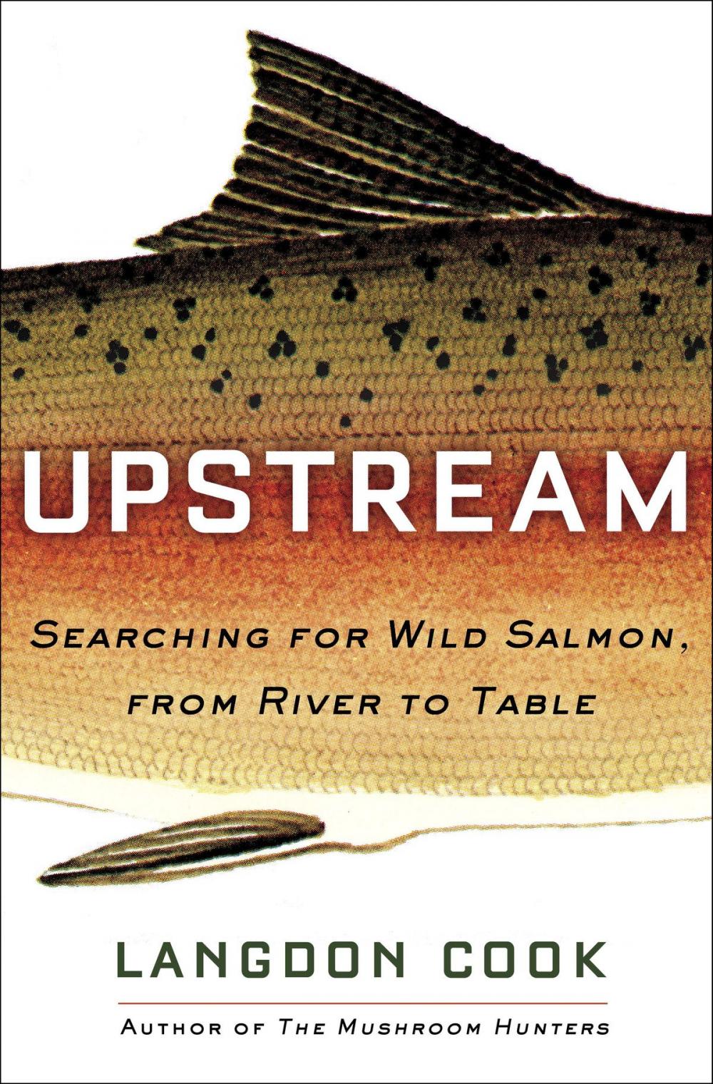 Big bigCover of Upstream