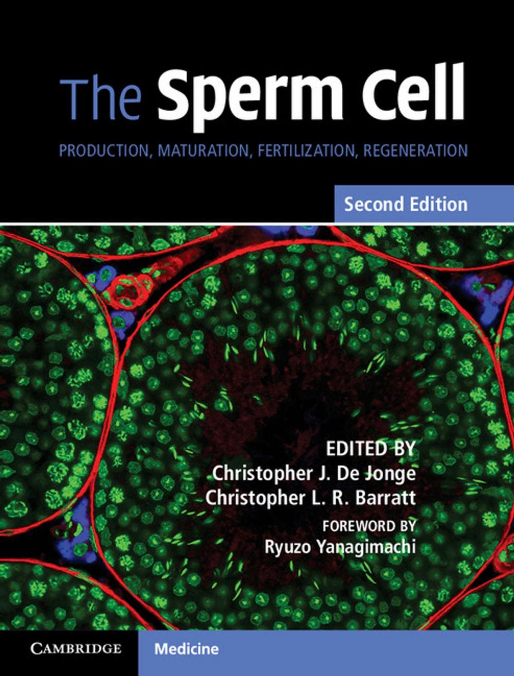 Big bigCover of The Sperm Cell