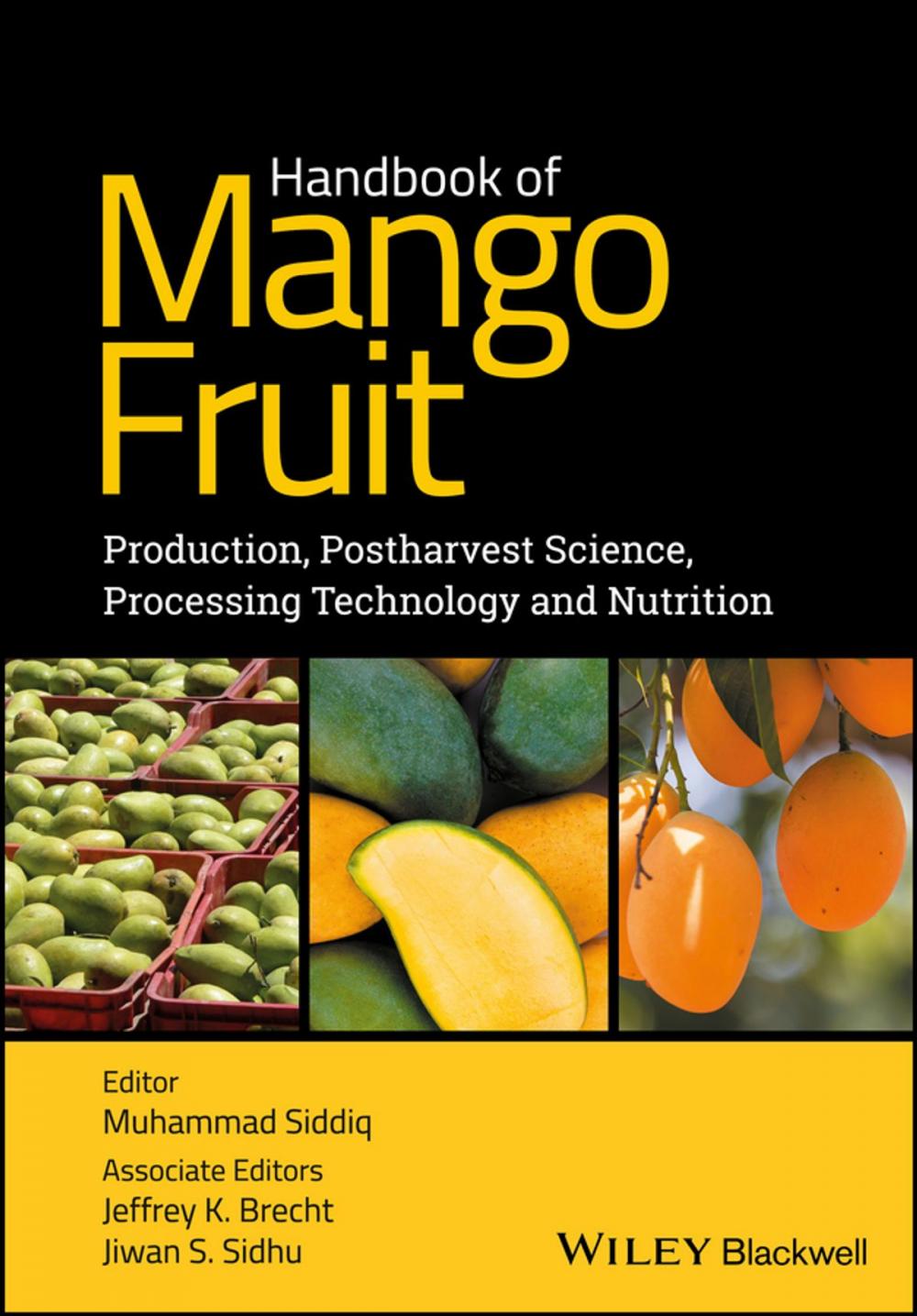 Big bigCover of Handbook of Mango Fruit