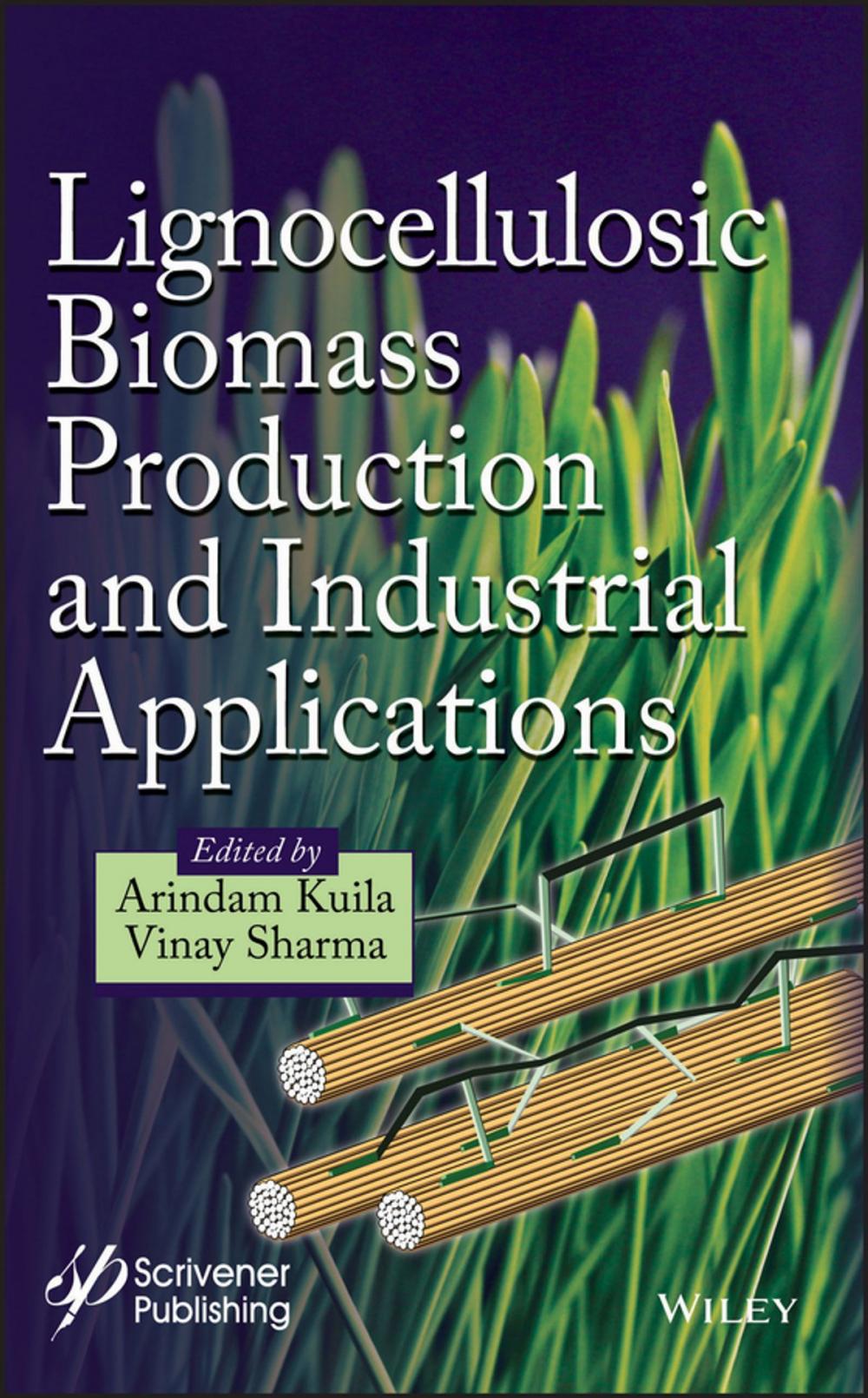 Big bigCover of Lignocellulosic Biomass Production and Industrial Applications