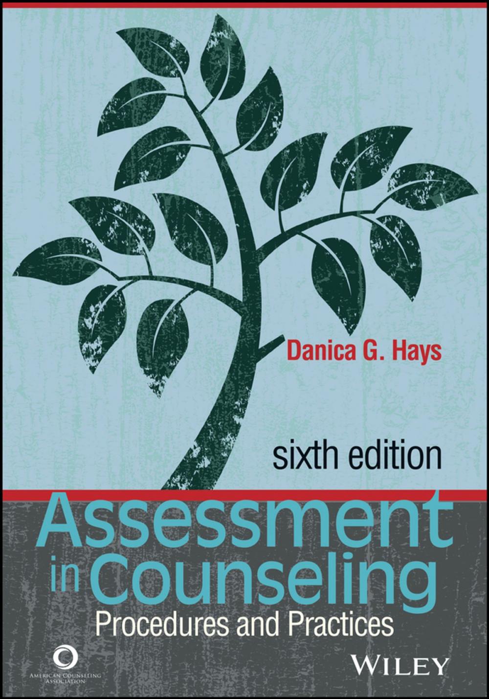 Big bigCover of Assessment in Counseling