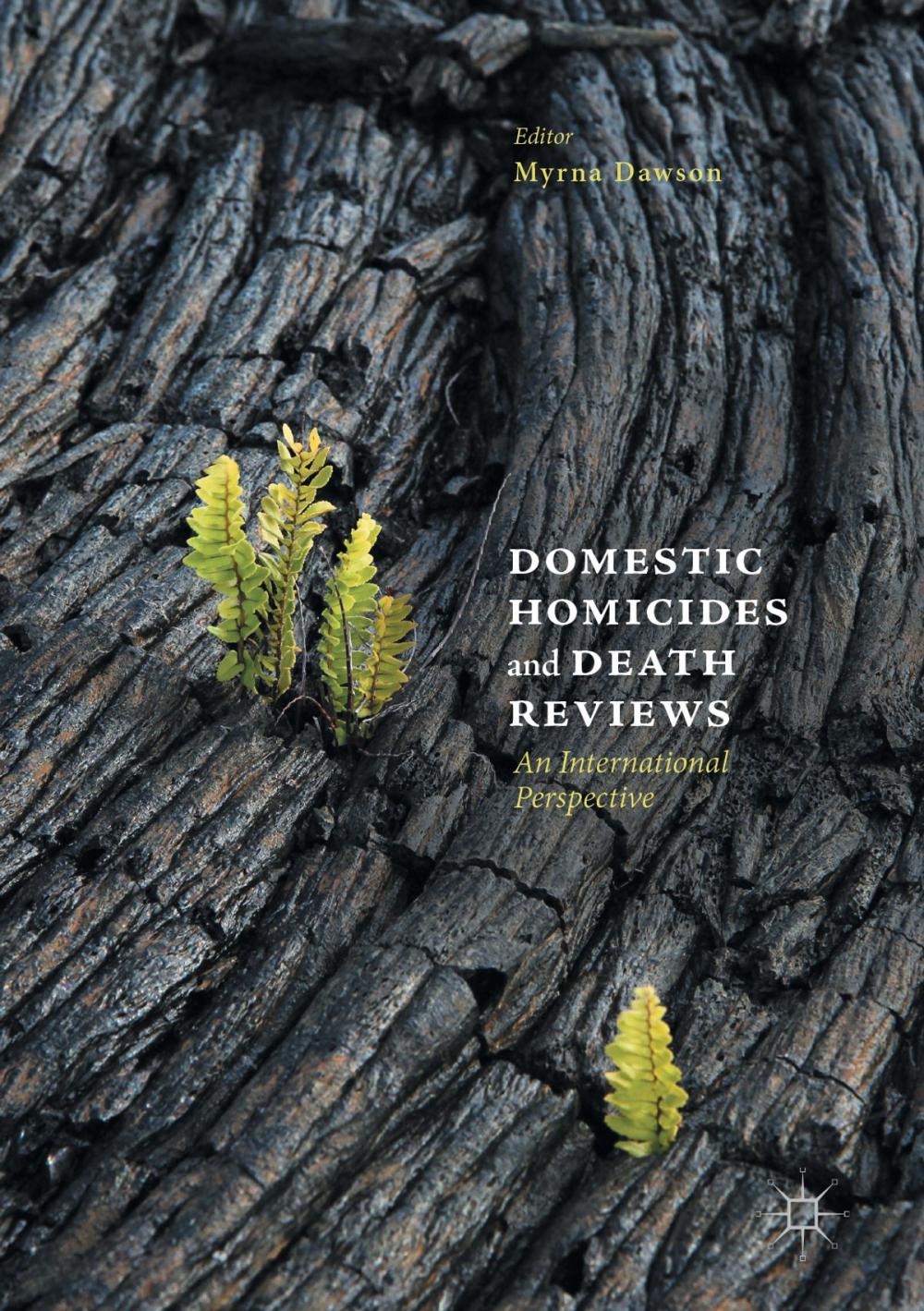 Big bigCover of Domestic Homicides and Death Reviews