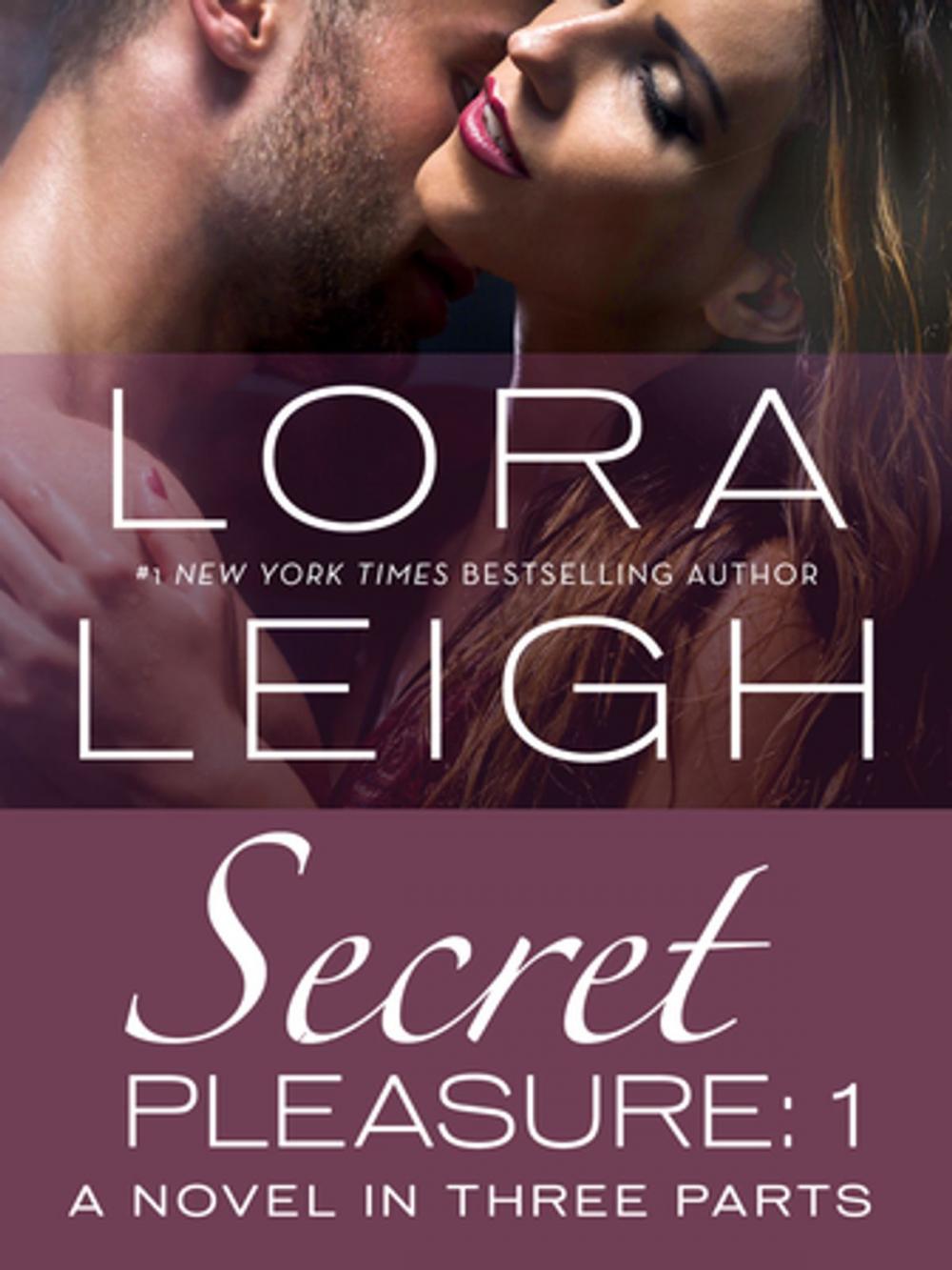 Big bigCover of Secret Pleasure: Part 1