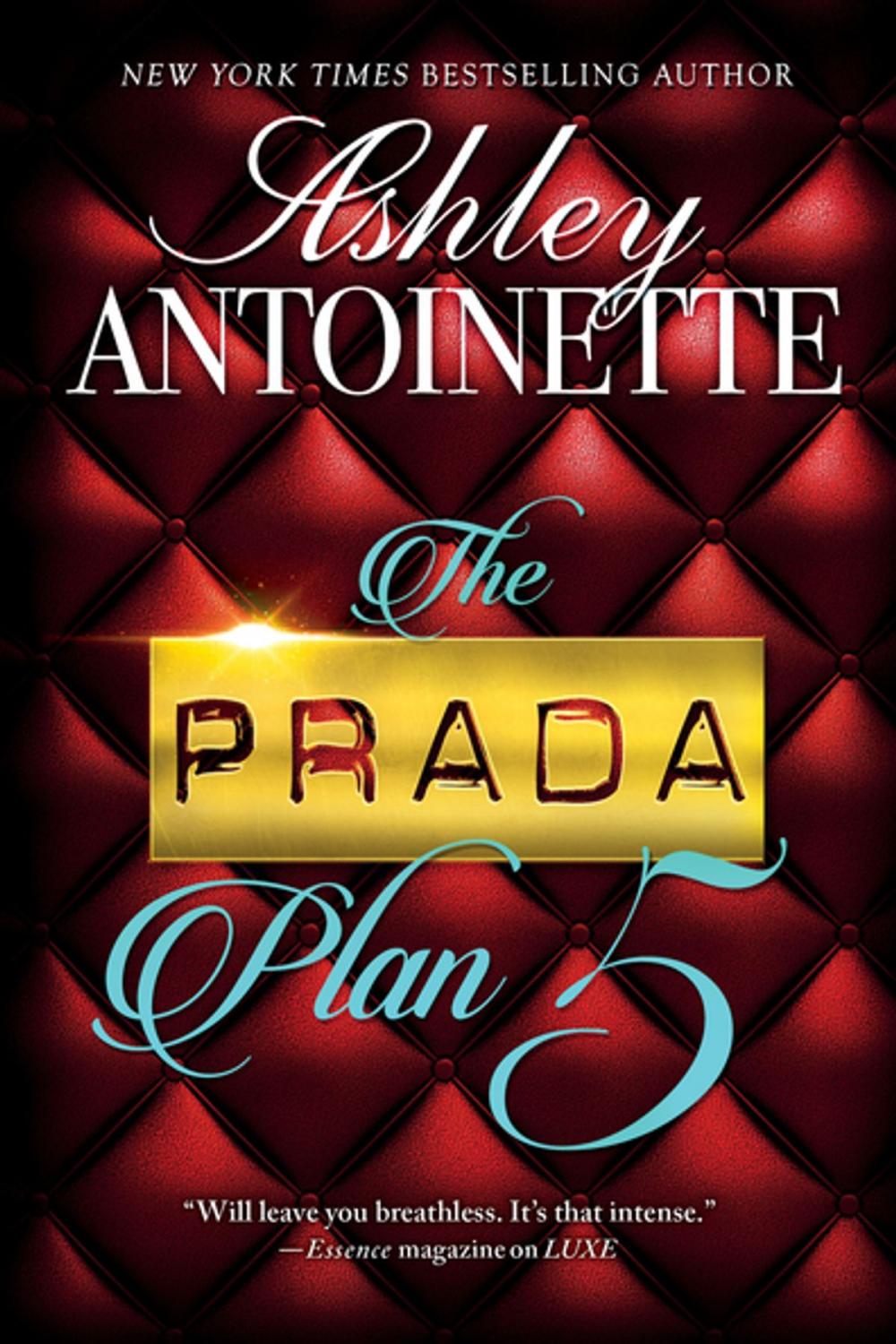 Big bigCover of The Prada Plan 5