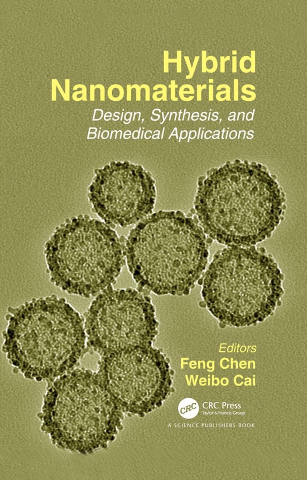 Big bigCover of Hybrid Nanomaterials