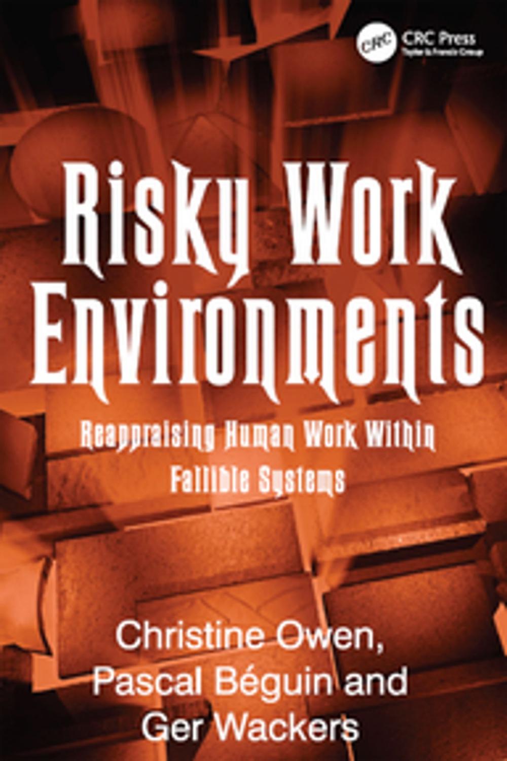 Big bigCover of Risky Work Environments