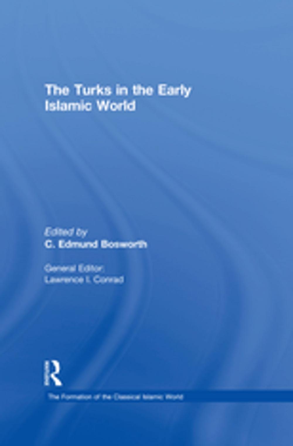 Big bigCover of The Turks in the Early Islamic World