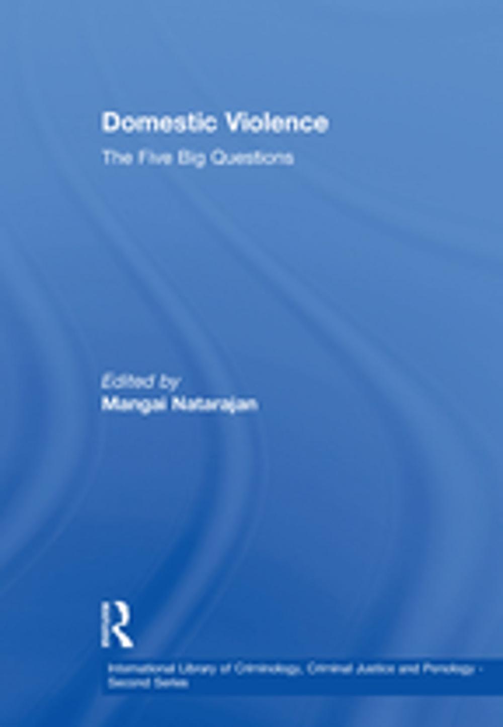 Big bigCover of Domestic Violence