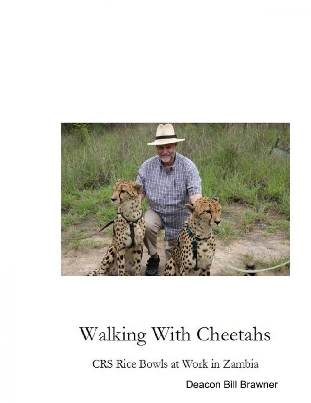 Big bigCover of Walking With Cheetahs