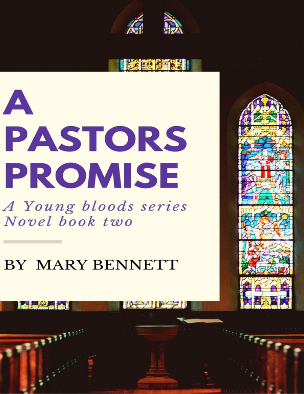 Big bigCover of Young Bloods Series: A Pastor's Promise