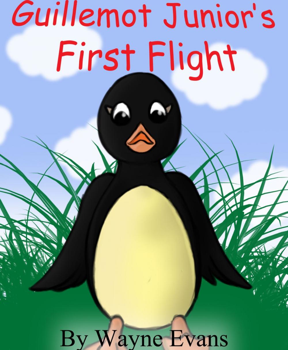 Big bigCover of Guillemot Junior’s First Flight: A children's story with morals.