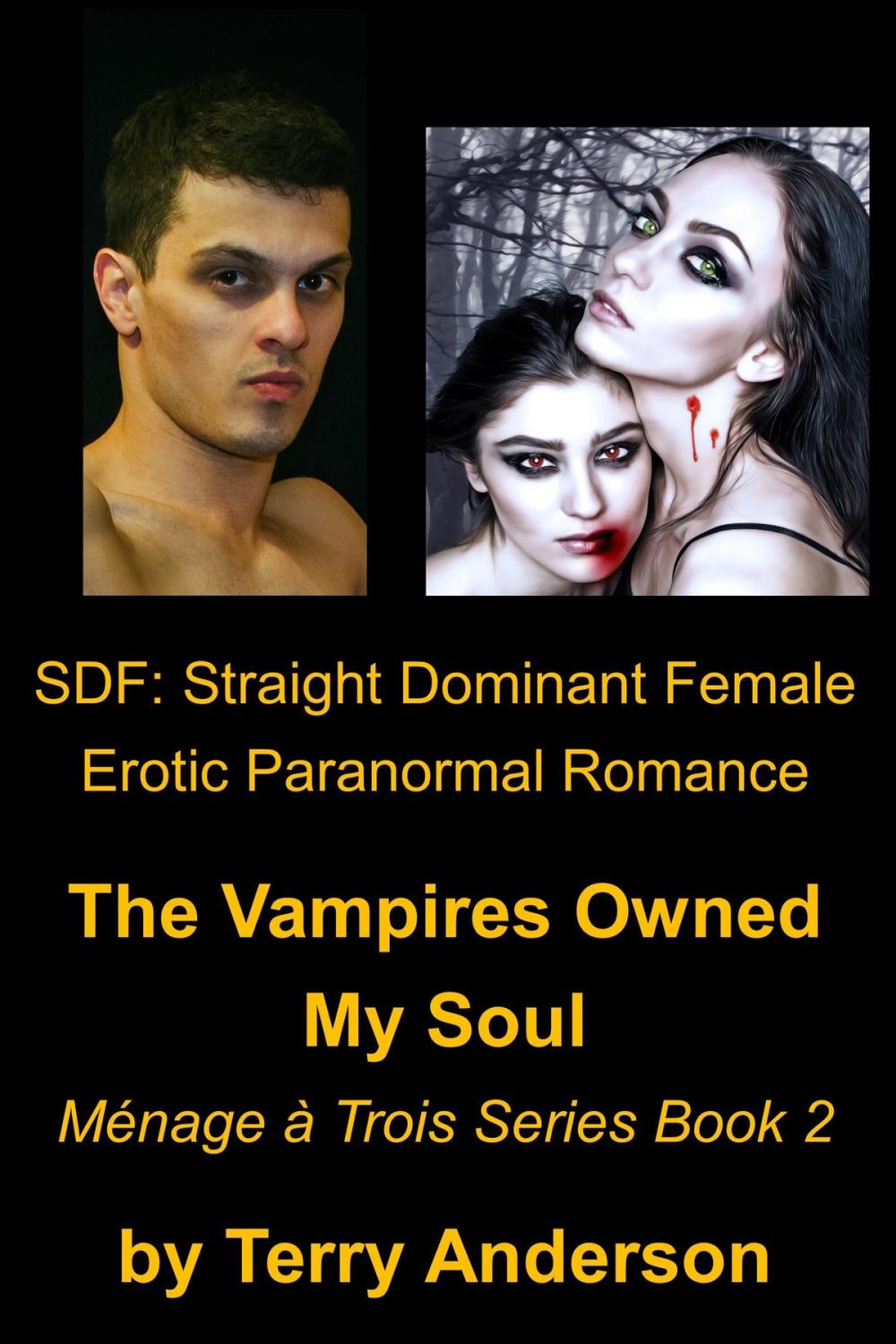 Big bigCover of SDF: Straight Dominant Female Erotic Paranormal Romance, The Vampires Owned My Soul, Menage Series Book 2