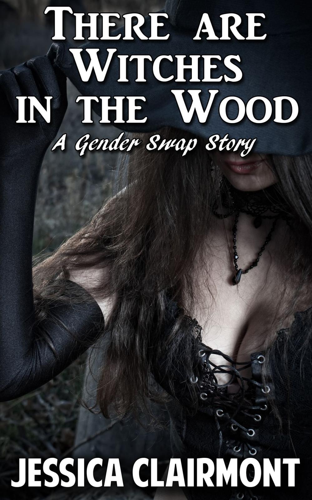 Big bigCover of There are Witches in the Wood: A Gender Swap Story