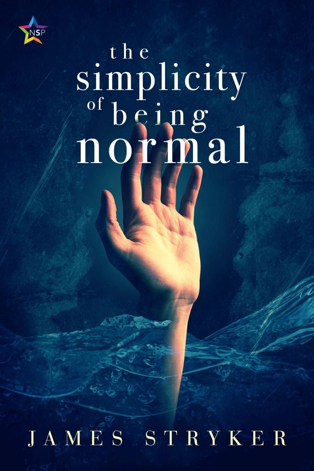 Big bigCover of The Simplicity of Being Normal