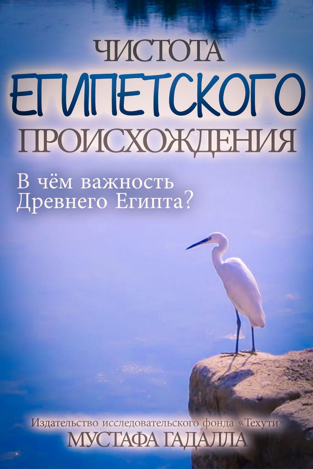 Big bigCover of Чистота египетского происхождения: В чём важность Древнего Египта?