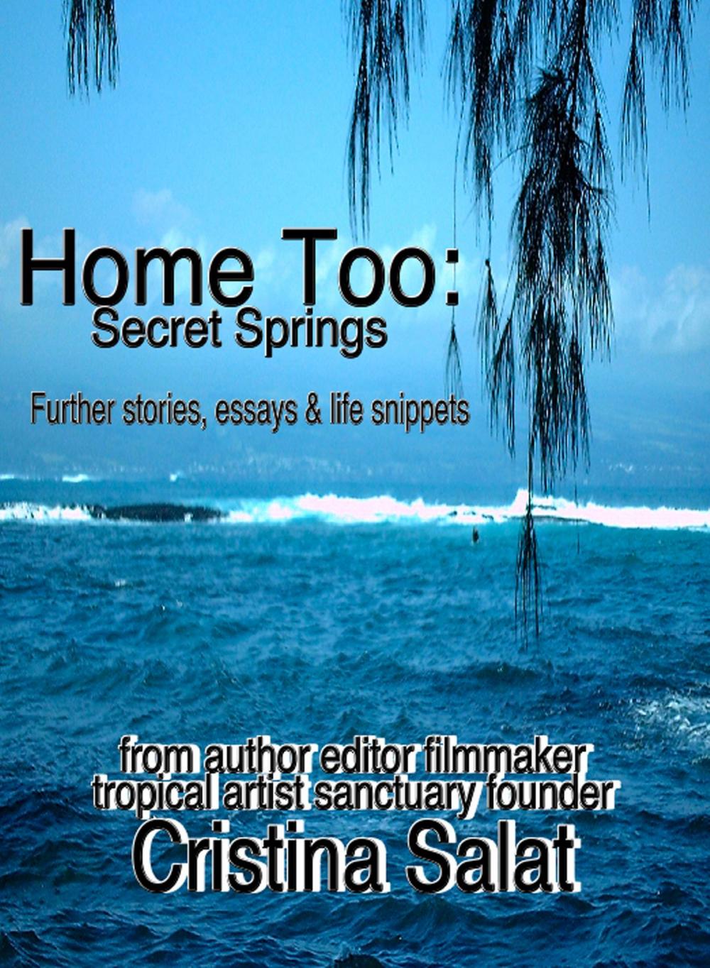 Big bigCover of Home Too: Secret Springs