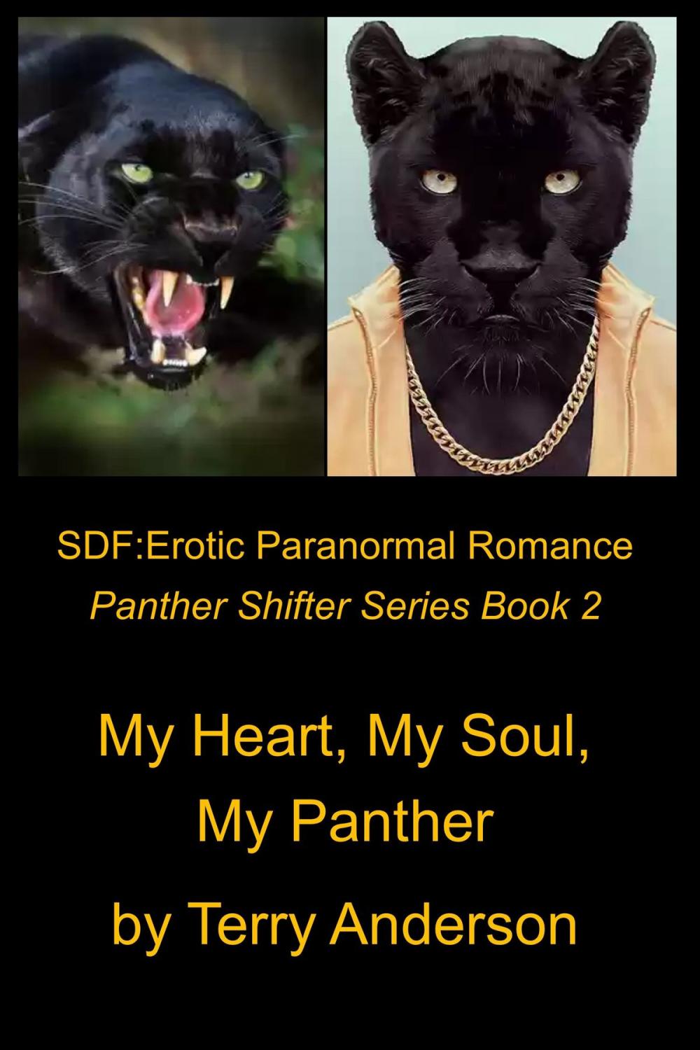 Big bigCover of SDF: Straight Dominant Female Erotic Paranormal Romance My Heart My Soul My Panther