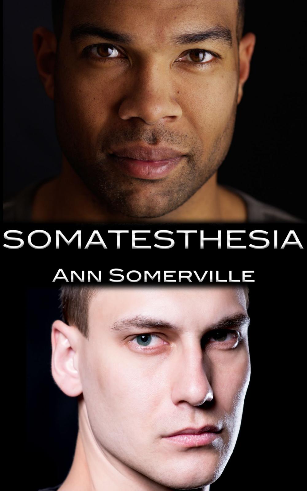 Big bigCover of Somatesthesia