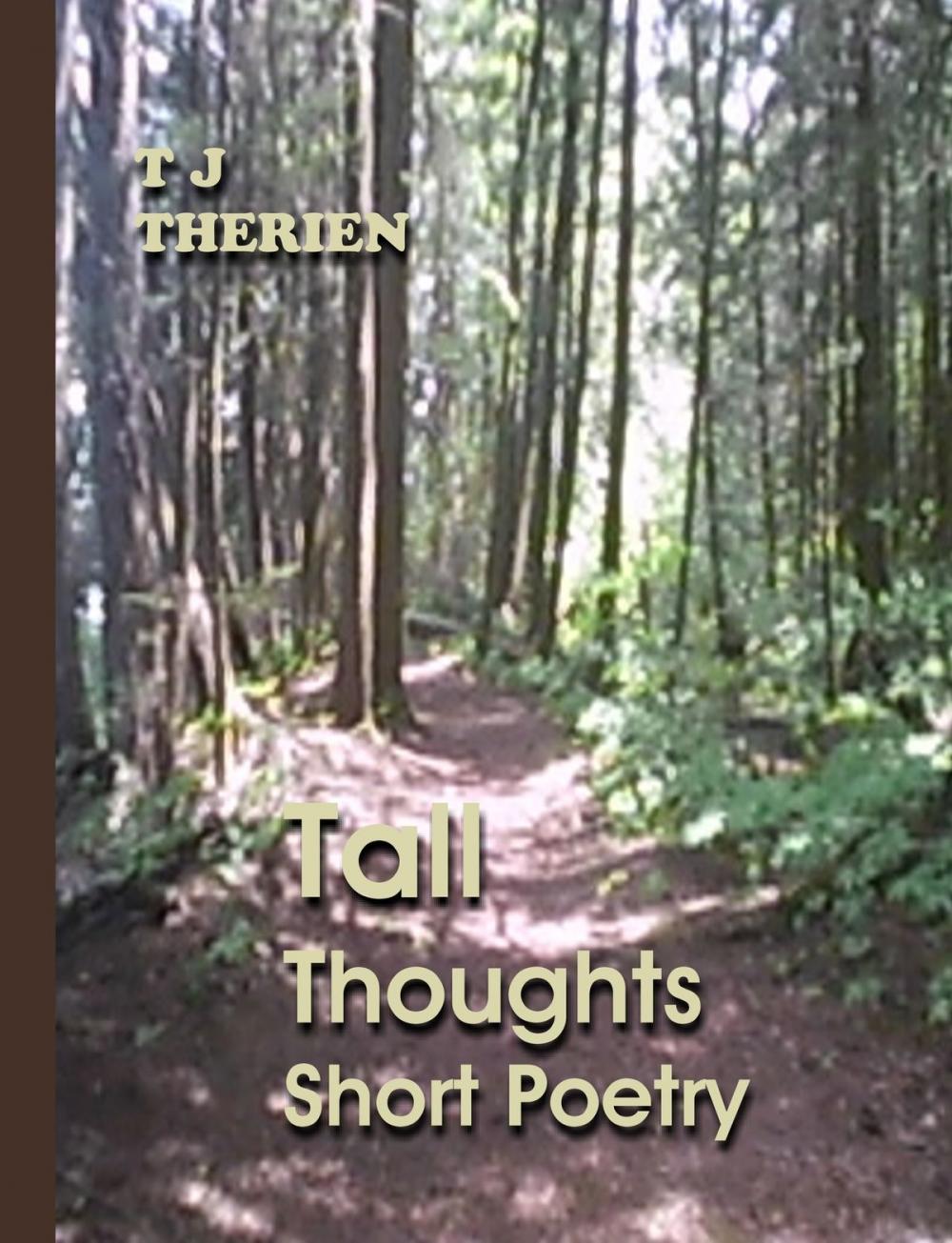 Big bigCover of Tall Thoughts Short Poetry