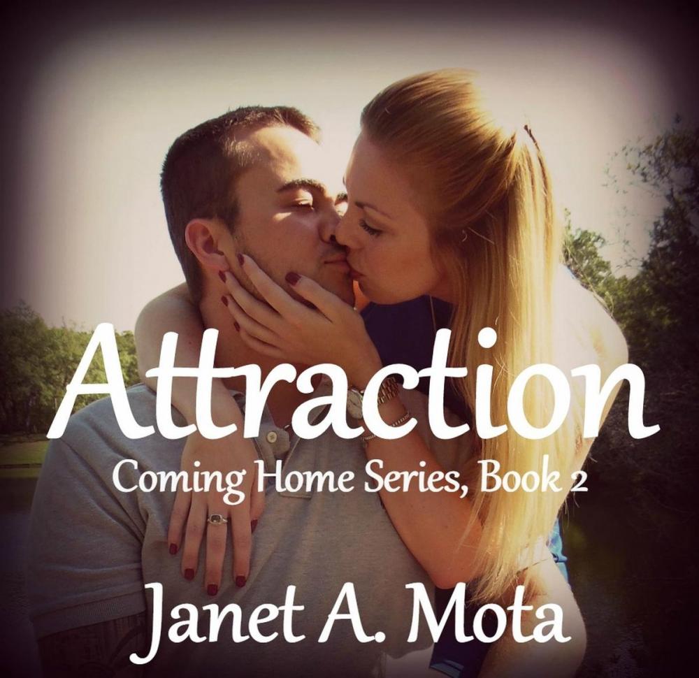 Big bigCover of Attraction