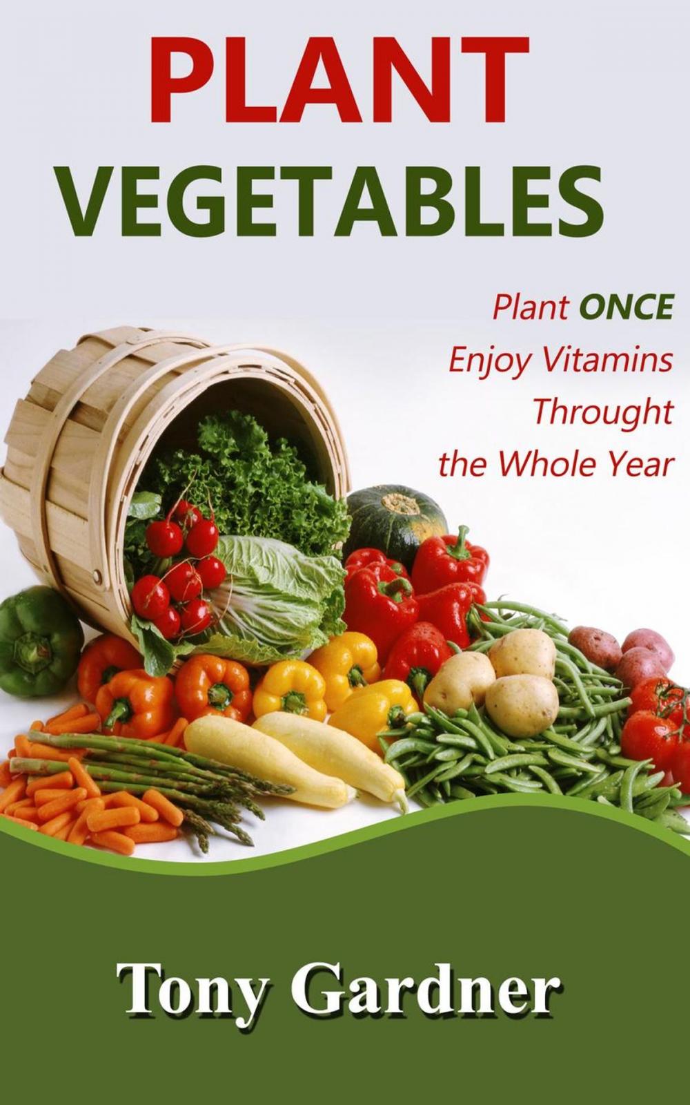 Big bigCover of Plant Vegetables: Plant Once, Enjoy Vitamins Throughout the Whole Year