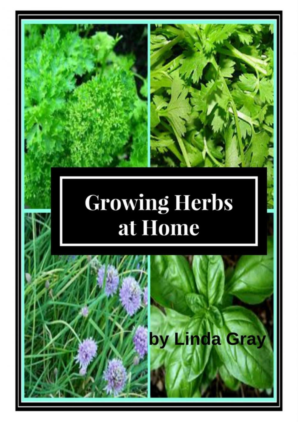 Big bigCover of Growing Herbs at Home