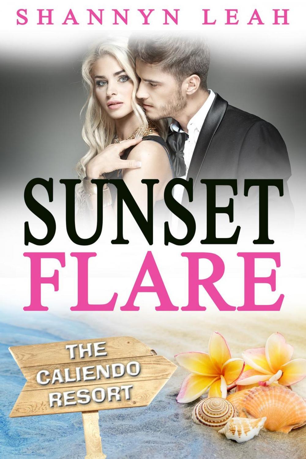 Big bigCover of Sunset Flare