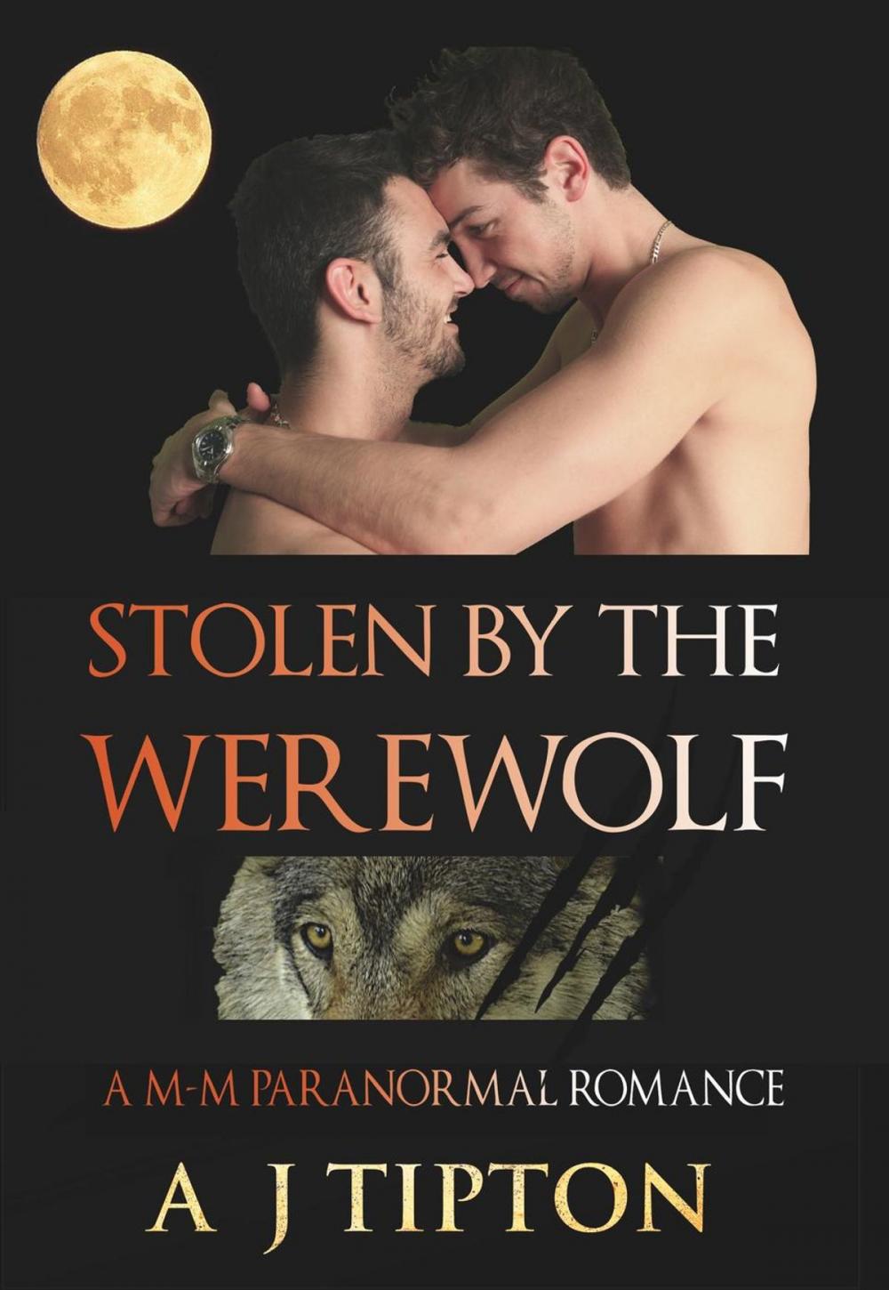 Big bigCover of Stolen by the Werewolf: A M-M Paranormal Romance