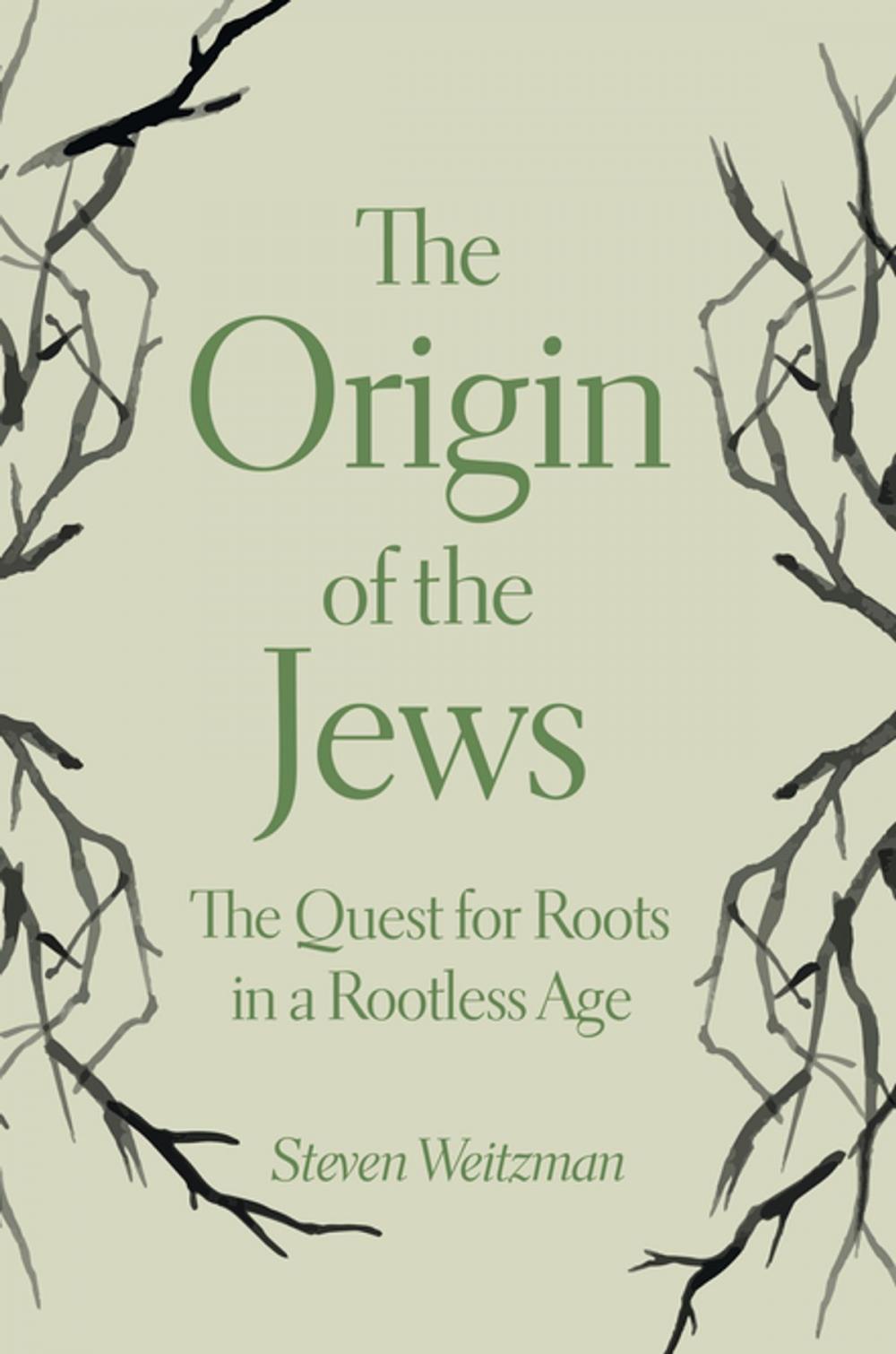 Big bigCover of The Origin of the Jews