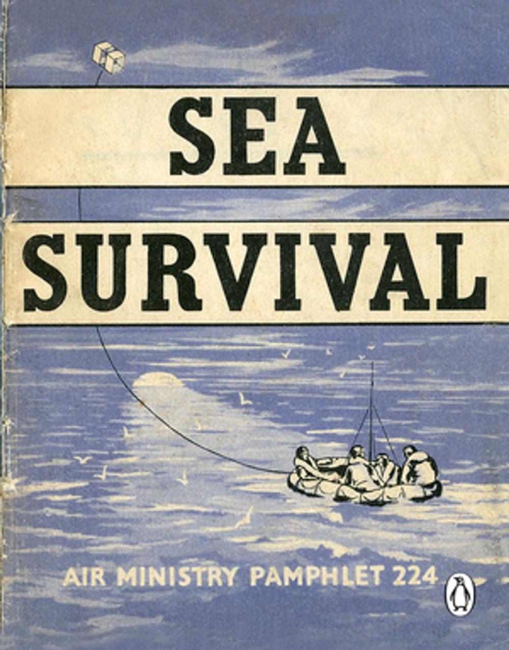 Big bigCover of Sea Survival