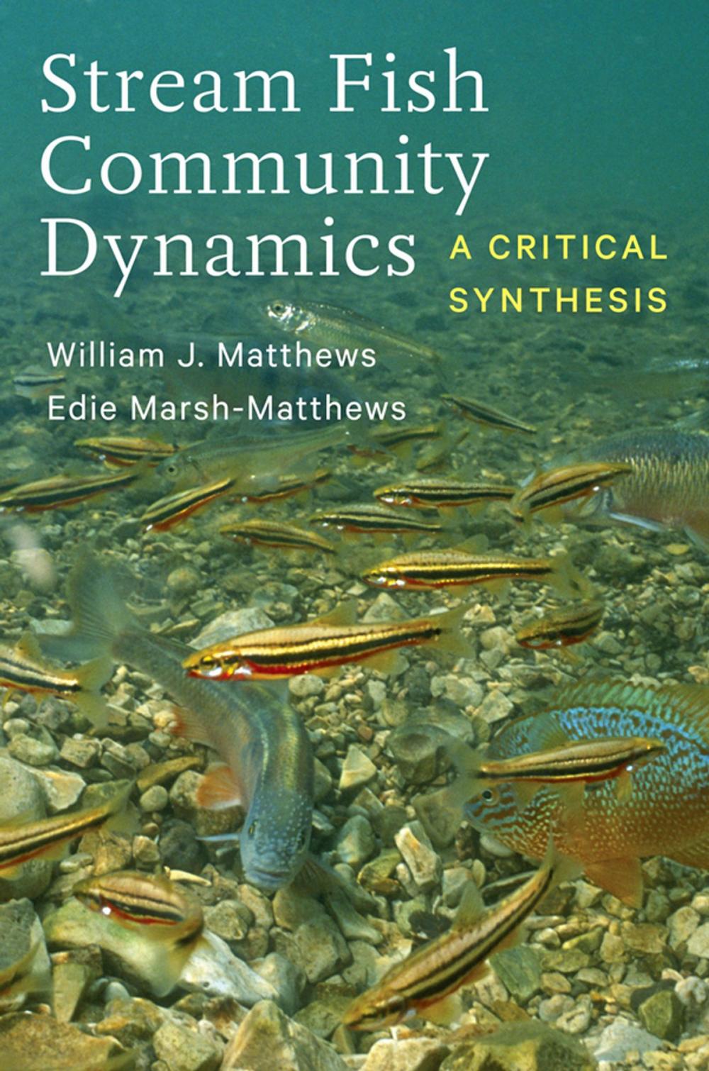 Big bigCover of Stream Fish Community Dynamics