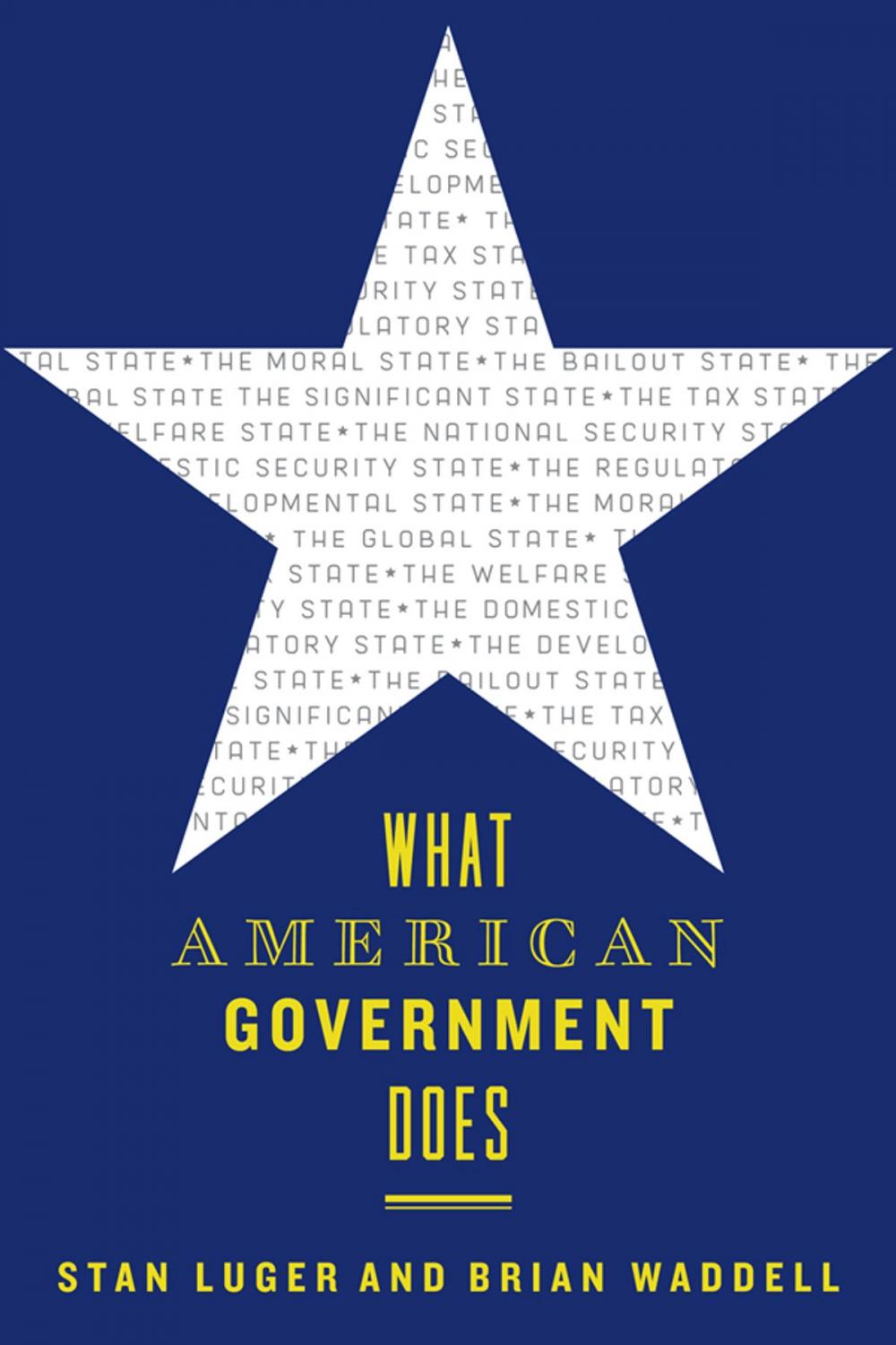 Big bigCover of What American Government Does