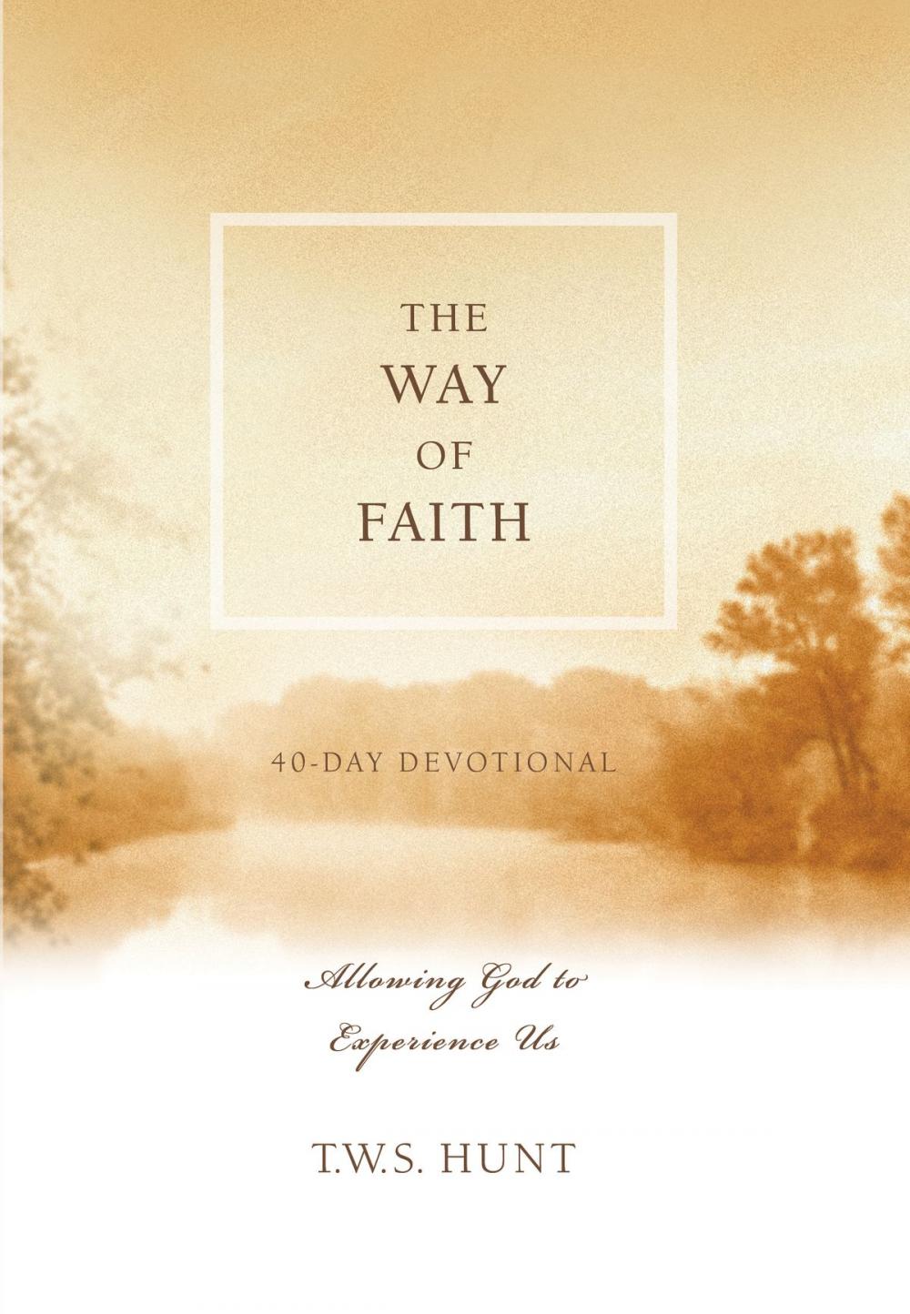 Big bigCover of The Way of Faith