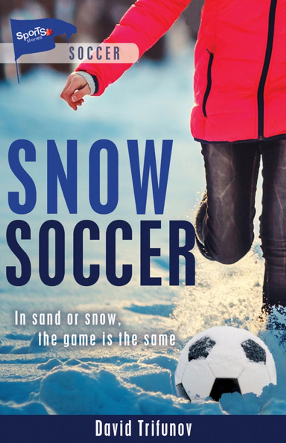 Big bigCover of Snow Soccer