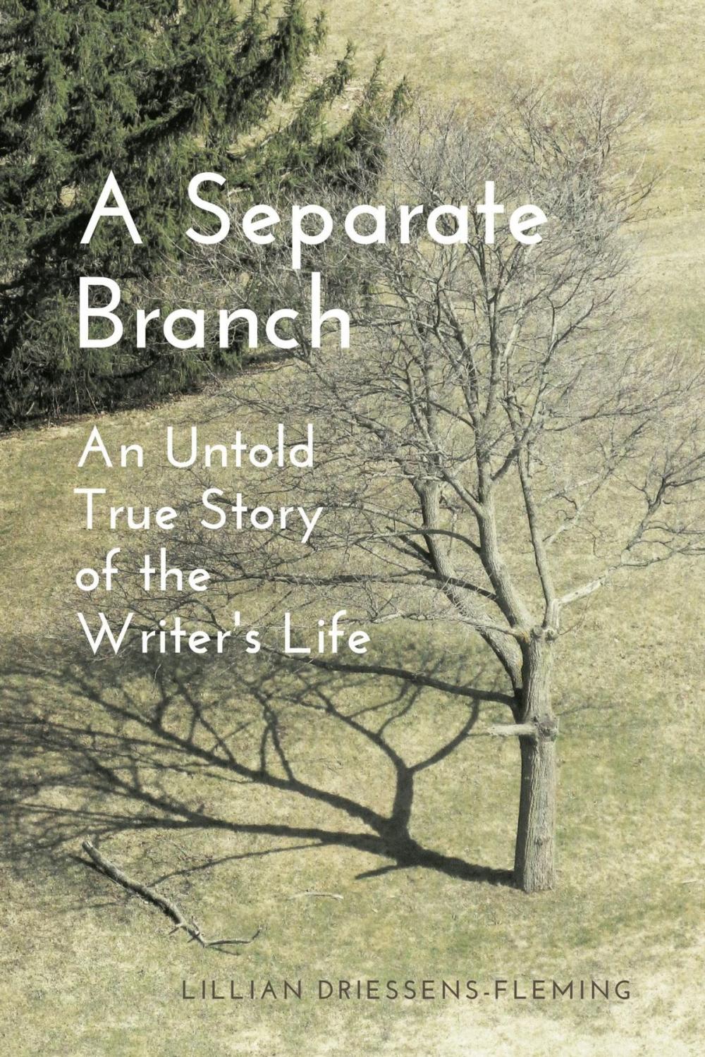 Big bigCover of A Separate Branch