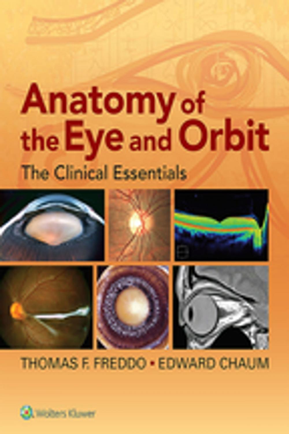 Big bigCover of Anatomy of the Eye and Orbit