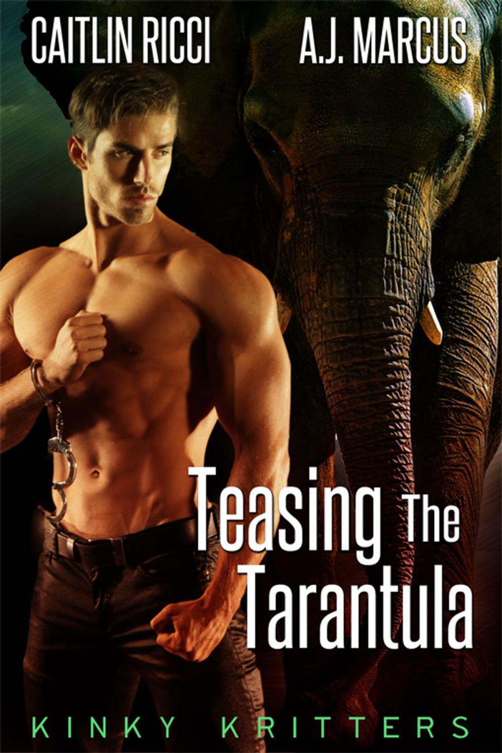 Big bigCover of Teasing the Tarantula