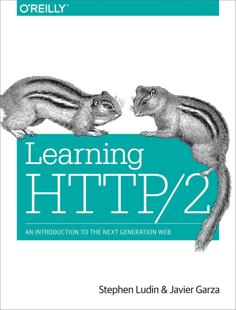 Big bigCover of Learning HTTP/2