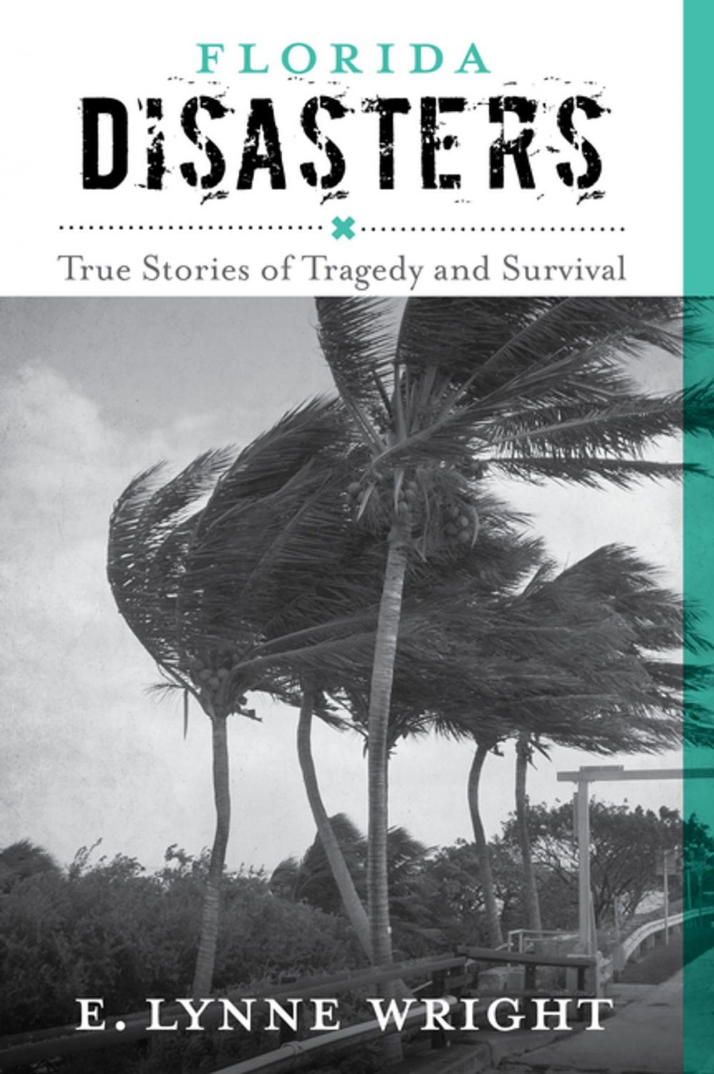 Big bigCover of Florida Disasters