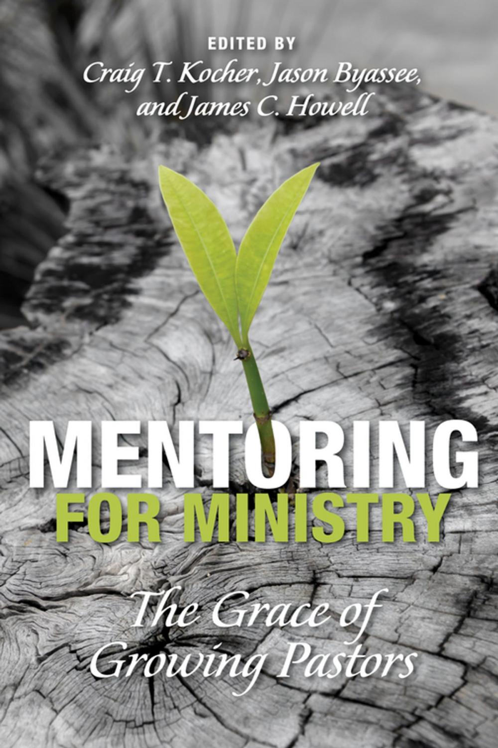 Big bigCover of Mentoring for Ministry