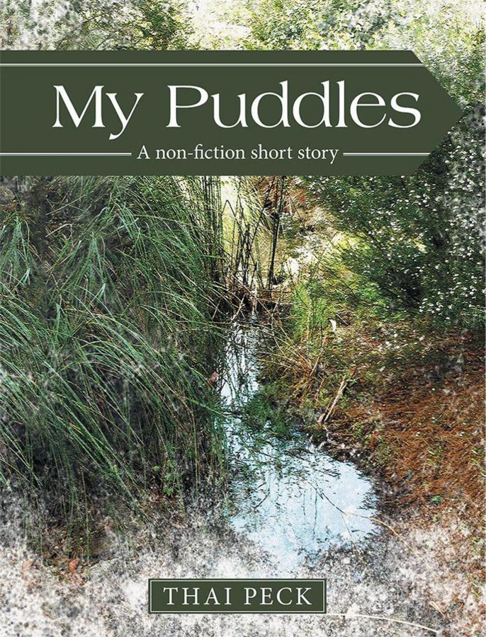 Big bigCover of My Puddles