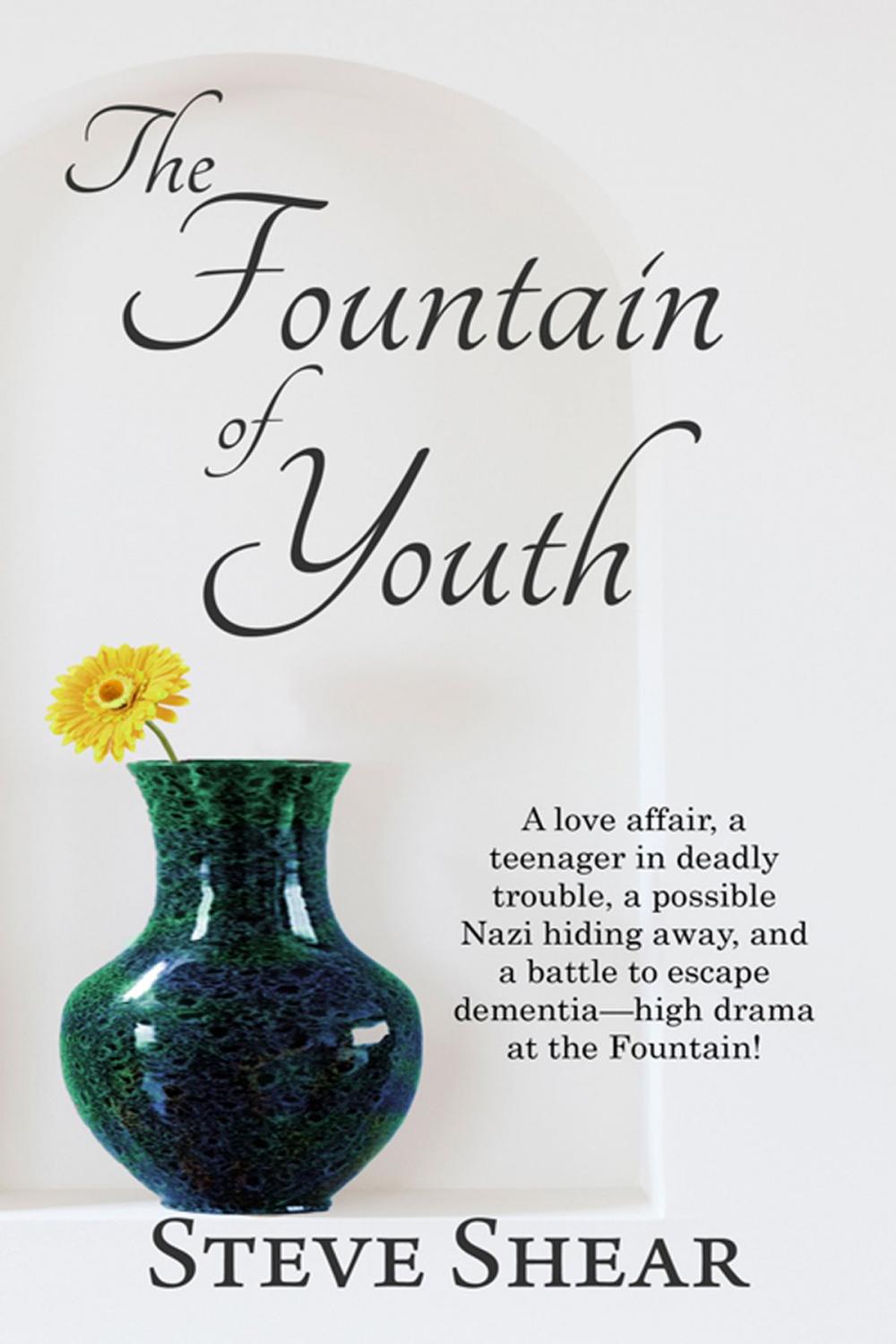 Big bigCover of The Fountain of Youth