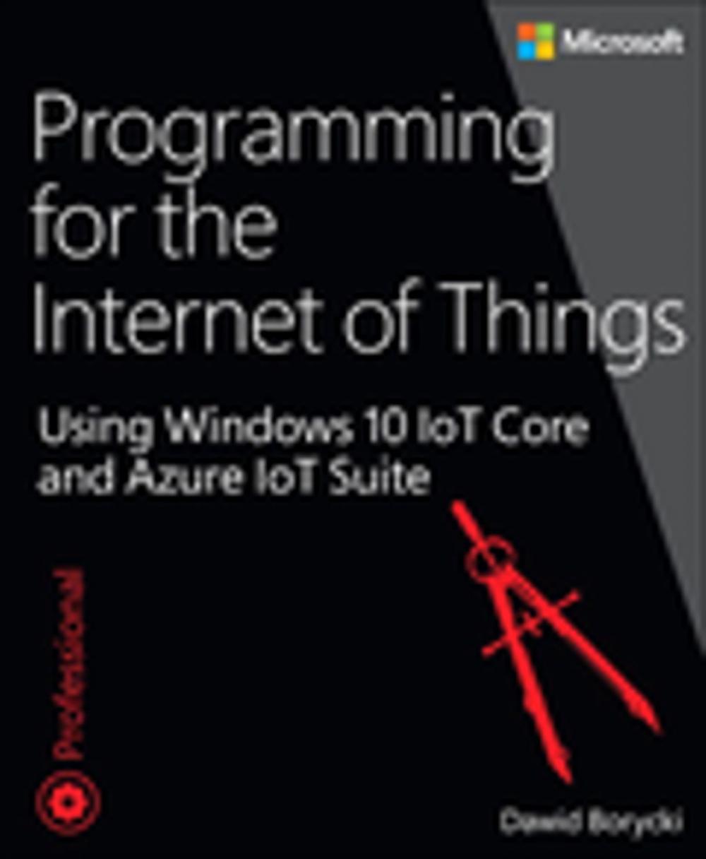 Big bigCover of Programming for the Internet of Things