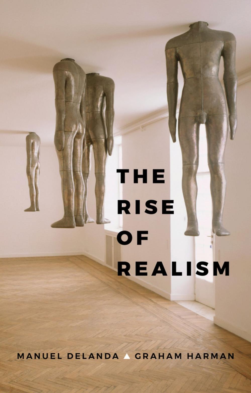 Big bigCover of The Rise of Realism